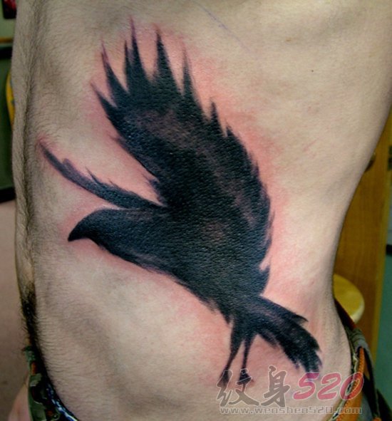多款关于鸟类的黑色素描轮廓创意个性纹身图案