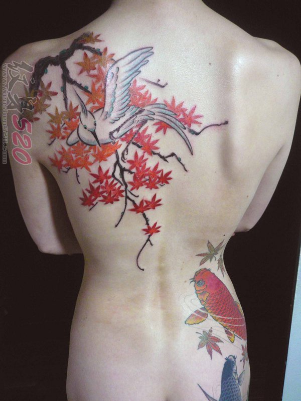 多款关于小鸟的彩绘水彩创意个性纹身图案