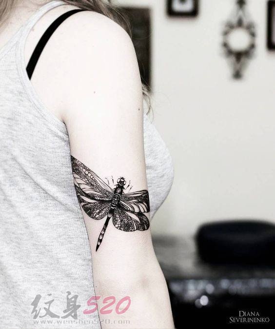 多款关于蜻蜓的黑色线条素描创意个性纹身图案