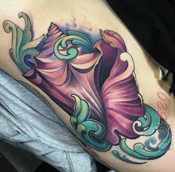 多款关于海螺的彩绘水彩泼墨创意个性纹身图案