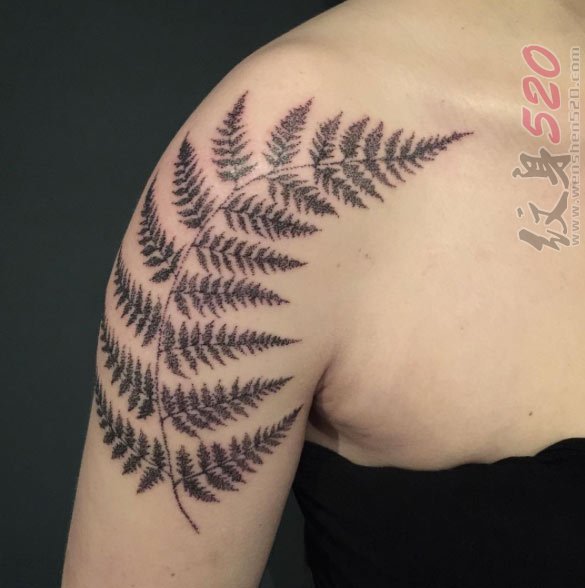 多款关于蕨类植物创意树叶唯美纹身图案