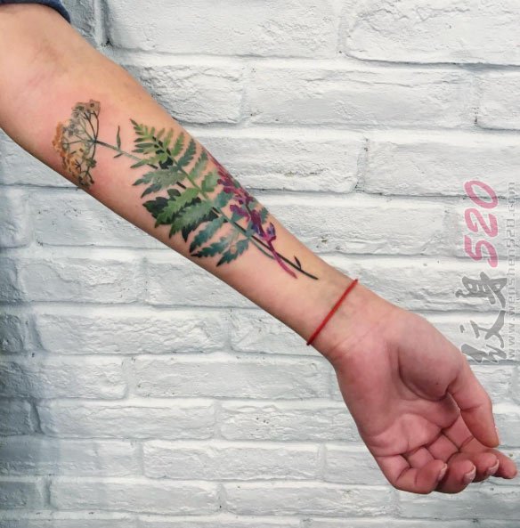 多款关于蕨类植物创意树叶唯美纹身图案