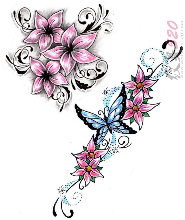 彩色的植物藤花朵和蝴蝶纹身手稿素材