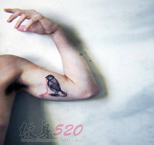 男生手臂上黑色线条素描小动物小鸟纹身图片
