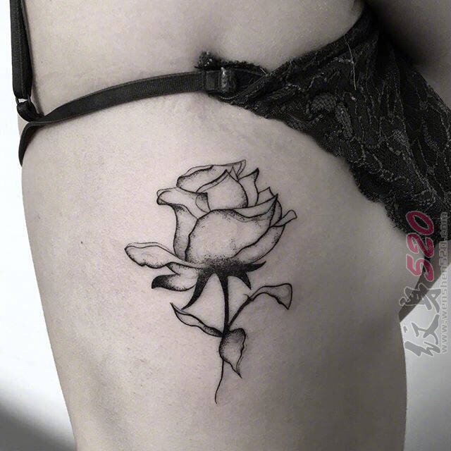 女生侧腰上黑色线条素描点刺技巧唯美玫瑰纹身图片