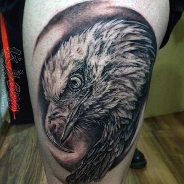 多款威风凛凛的霸气小动物老鹰纹身图案