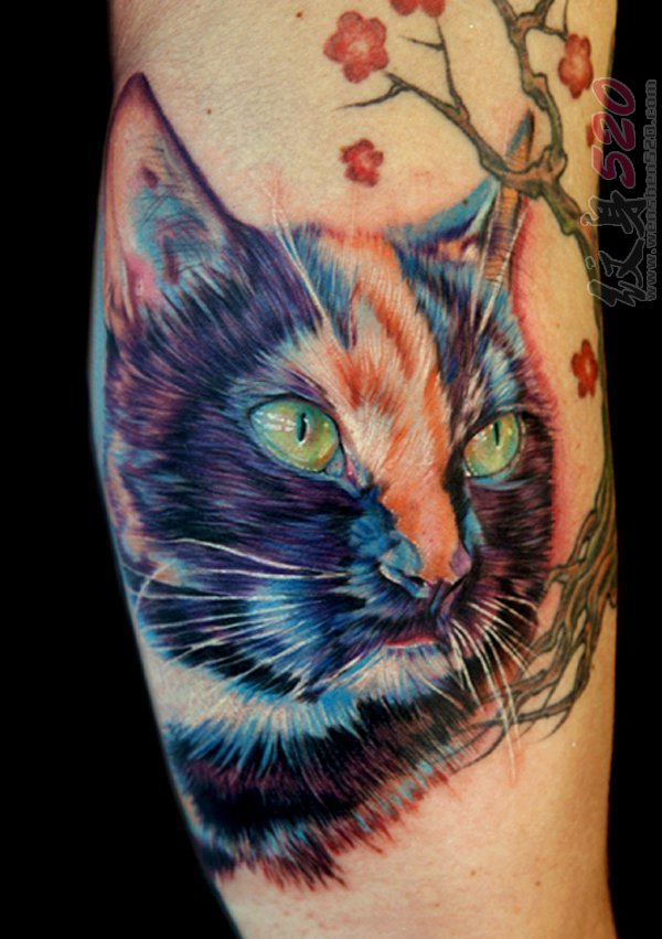 多款关于猫的创意个性素描抽象纹身图案