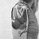 女生手臂上黑色素描创意小鸟纹身图片