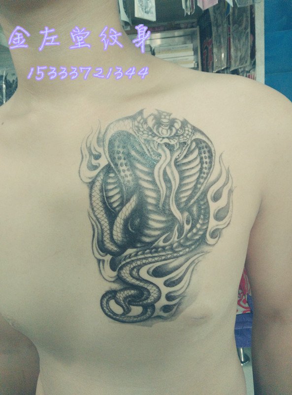 蛇纹身 @#金左堂纹身#➹盖疤痕➹修改纹身 安阳纹身 水冶纹身