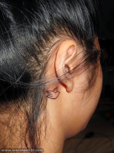 女生耳后黑色线条简约小鸟轮廓小图案纹身图片