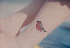 女孩腿上可爱彩色小鸟刺青