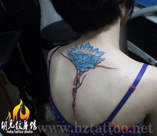 美女背部梦幻蓝色鲜花纹身图片