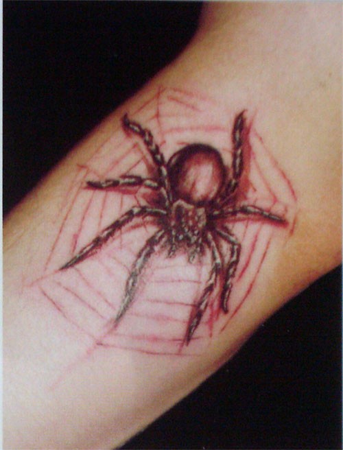 手臂艺术个性蜘蛛纹身图片