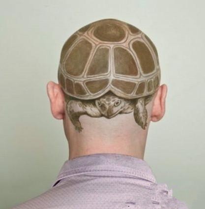 传说中的龟,头刺青