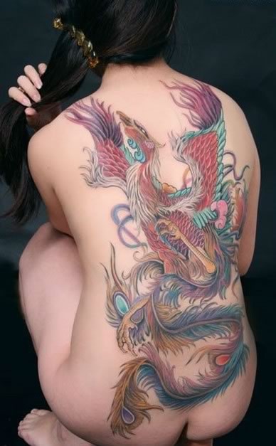 四张女性背部的凤凰beibufenghuang纹身图