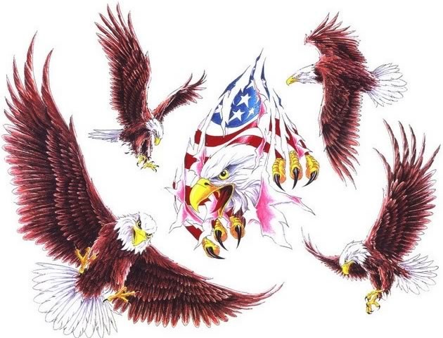 雄鹰和美国国旗xiongyingguoqi纹身手稿