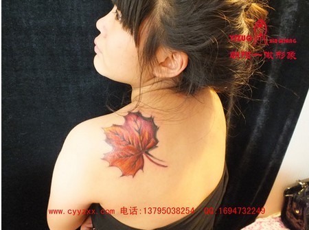 美女左后肩上的漂亮枫叶刺青