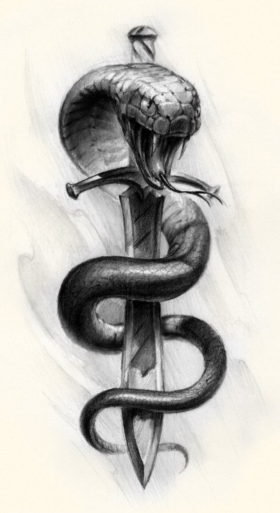 盘绕在短剑上的蛇刺青手稿