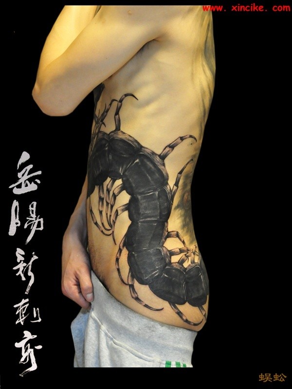 侧腰部大幅黑色蜈蚣纹身图案
