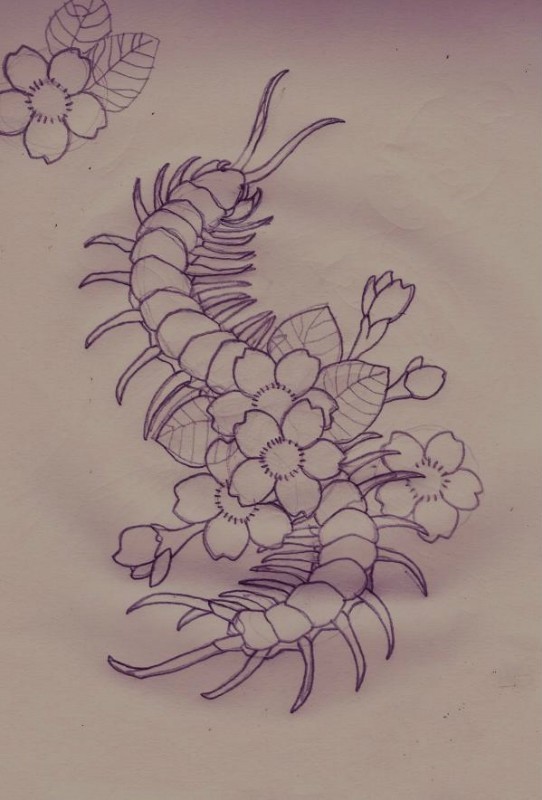 花丛中的蜈蚣纹身手稿