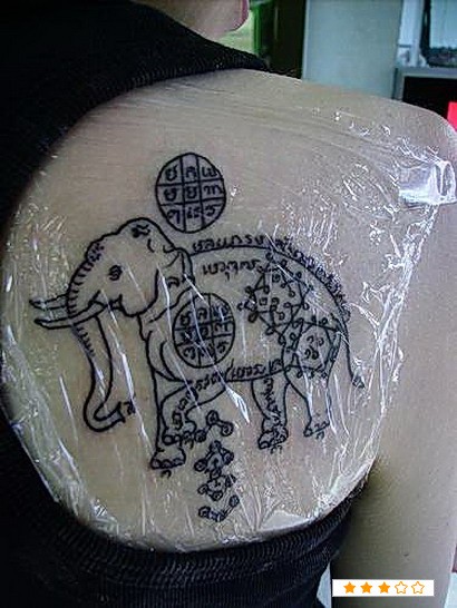 后背右侧肩胛处大象纹身作品图案