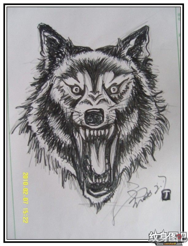 凶猛狼头纹身手稿