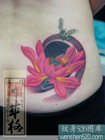 腰部蜜蜂和红色荷花纹身图案-日本黄炎刺青作品