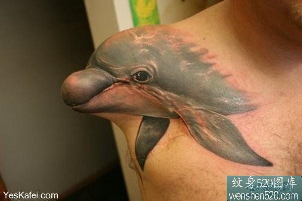 3d海豚遮盖纹身作品