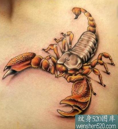 三张胸前彩色蝎子纹身图案作品