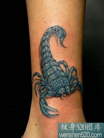 两张腿颈部的蓝黑蝎子纹身图案欣赏