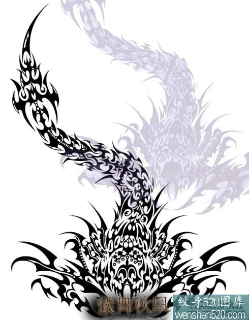 蝎子图腾纹身手稿