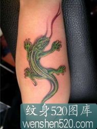 两张手臂上的蜥蜴纹身图片