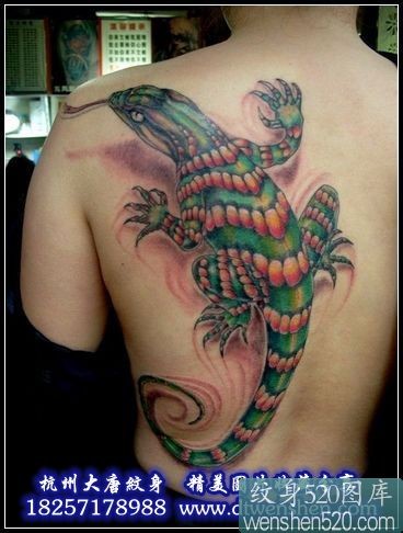 后背上色彩斑斓的大蜥蜴纹身作品