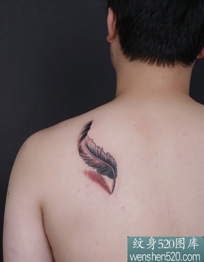 男子后背漂亮的3d羽毛纹身图案