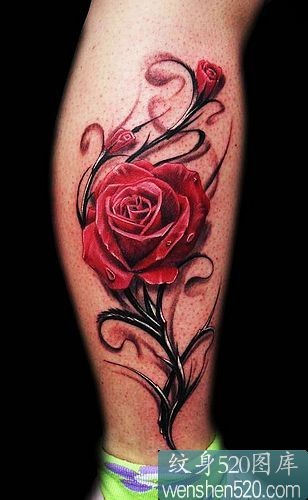 小腿侧部漂亮的玫瑰纹身图片欣赏