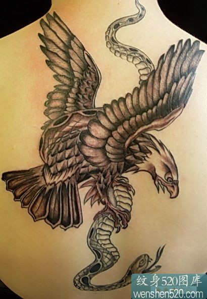 后颈下部老鹰扑蛇纹身图案