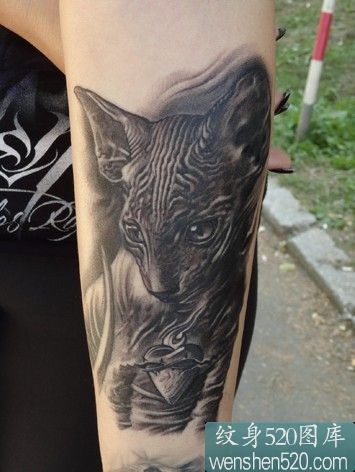 手臂上面眼神坚定的黑猫纹身图