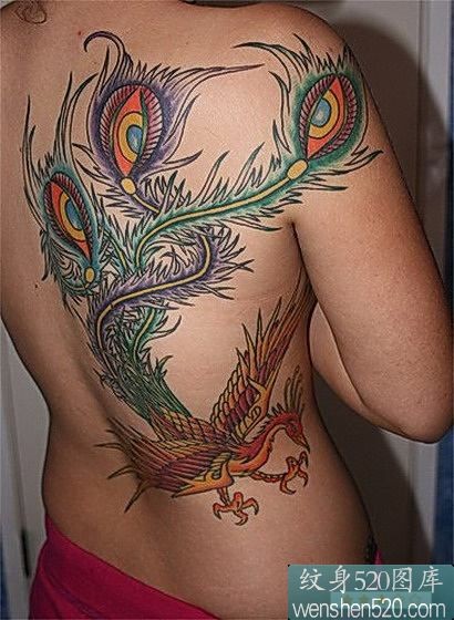 女性后背大型彩色凤凰刺青图案