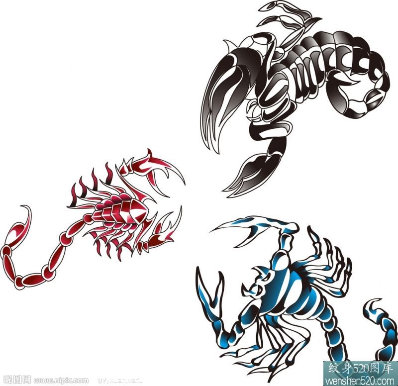 三只彩色的蝎子纹身手稿图