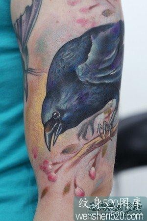 推荐一款很好的大臂乌鸦樱花纹身图案