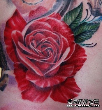 一张欧美风格的红色漂亮玫瑰文身图案