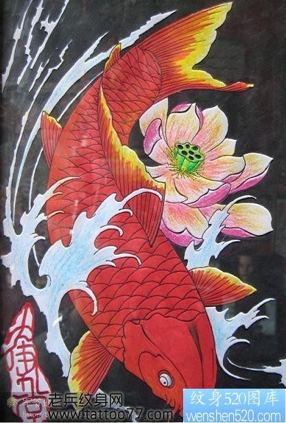 彩色鲤鱼纹身手稿纹身520图库为你提供