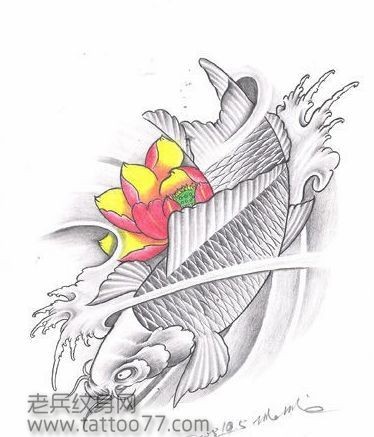 灰色鲤鱼和彩色莲花纹身手稿