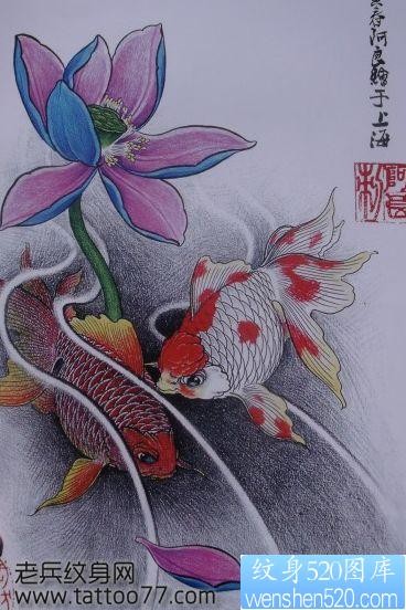 鲤鱼纹身手稿―彩色金鱼莲花纹身手稿