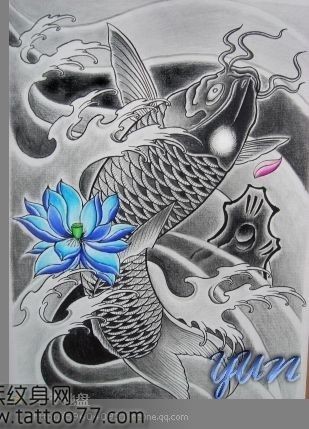 鲤鱼纹身手稿纹身520图库为你提供