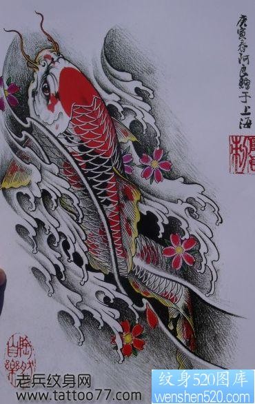 鲤鱼纹身手稿：彩色樱花鲤鱼纹身手稿