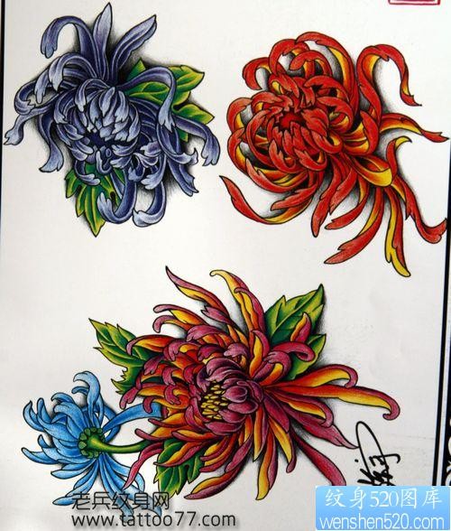 纹身手稿：彩色菊花纹身手稿