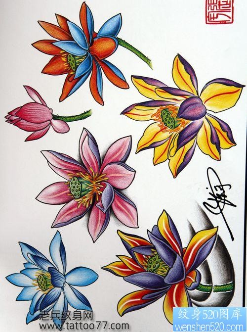 纹身手稿―彩色莲花纹身手稿