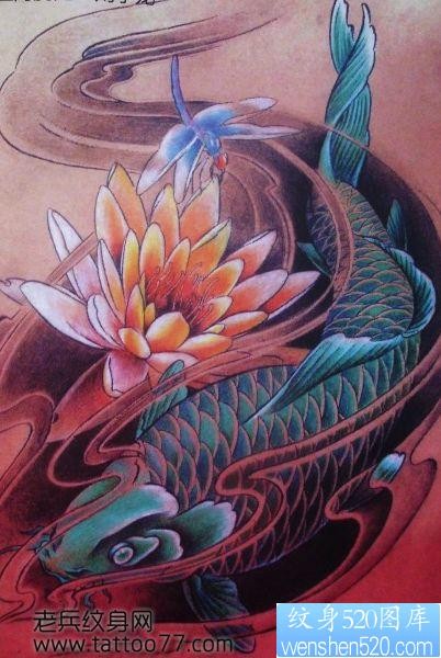 鲤鱼纹身手稿―彩色莲花蜻蜓鲤鱼纹身手稿