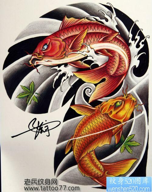 彩色半甲鲤鱼纹身手稿―纹身520图库为你提供